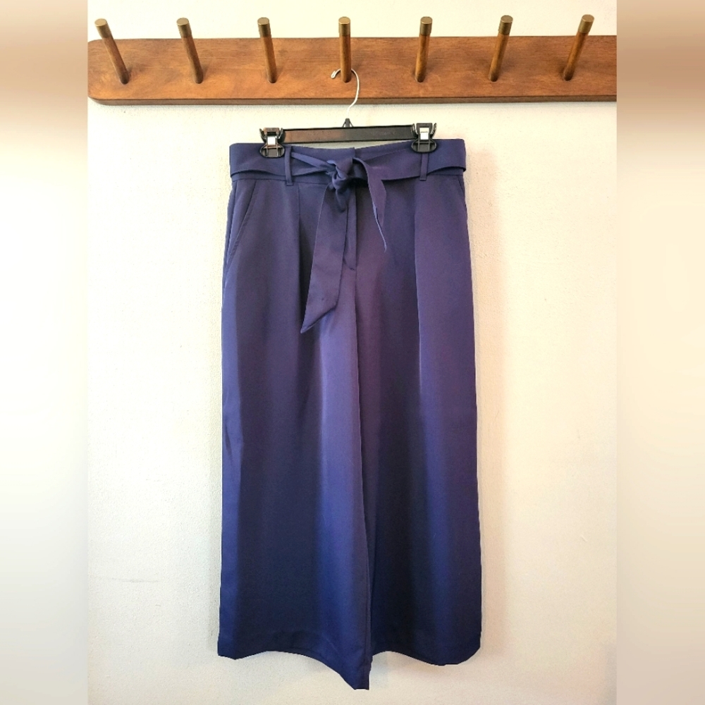 LOFT Pleated Cropped Pants with Belt | Navy Blue
